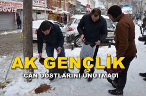 AK Gençler’den, Örnek Hareket