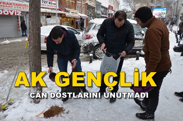 AK Gençler’den, Örnek Hareket