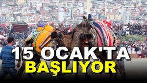 4. Büyük Truva Deve Güreşleri Festivali