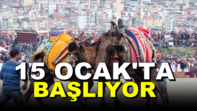 4. Büyük Truva Deve Güreşleri Festivali