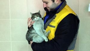 Çorlu’da Donmak Üzere Olan Kedi ile Karga Kurtarıldı