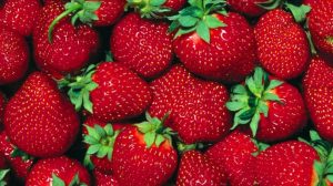 Çileğin fiyatı dudak uçuklatıyor