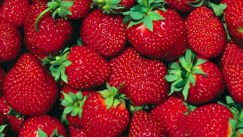 Çileğin fiyatı dudak uçuklatıyor