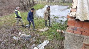 Arnavutköy’de çok sayıda ölü köpek bulundu