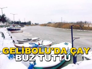 Gelibolu’da Çay Buz Tuttu