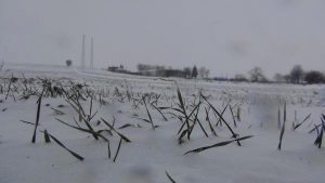 Hayatı Felç Eden Kar, Çiftçiyi Sevindirdi