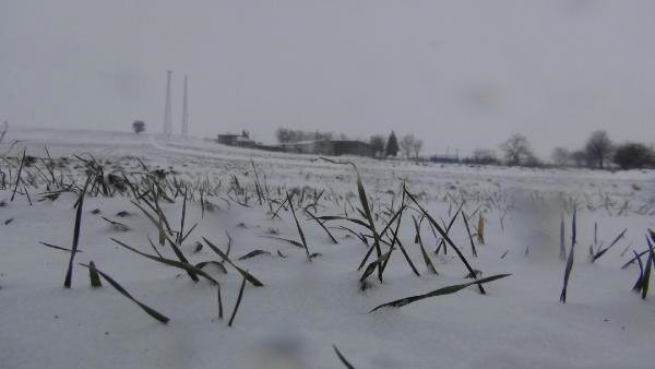 Hayatı Felç Eden Kar, Çiftçiyi Sevindirdi