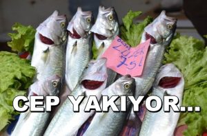 Denizlerin Prensi Cep Yakıyor