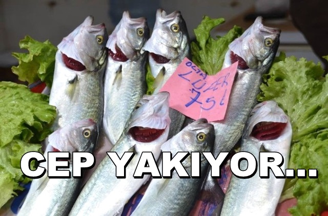 Denizlerin Prensi Cep Yakıyor