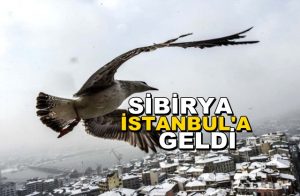 Sibirya İstanbul’a Geldi! Kar Kalınlığı 122 cm