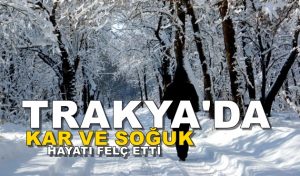 Trakya’da Kar ve Soğuk Hayatı Felç Etti