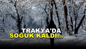 Kar Gitti, Trakya’da Soğuk Kaldı