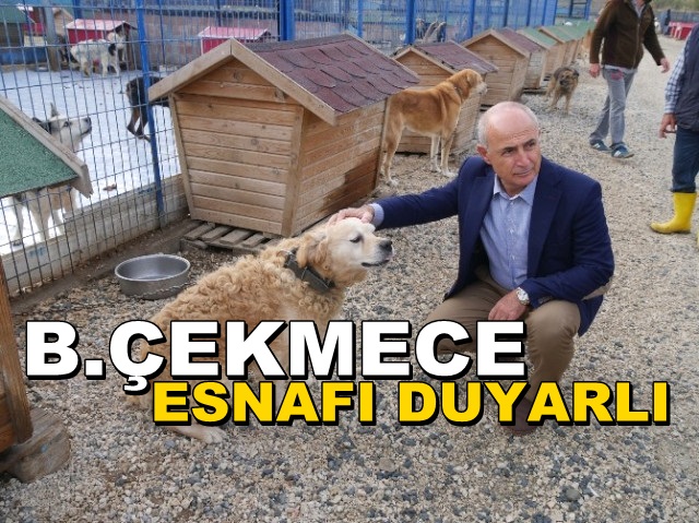 Büyükçekmece Esnafına ‘Hayvan Dostu’ Sticker