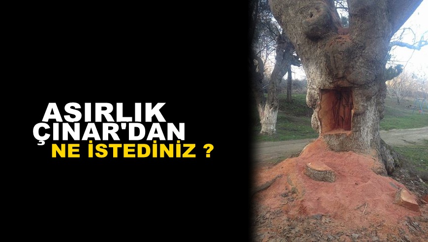 Kim bu vicdansızlar ?