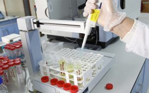 Liseler Arası Bilişim Kampı Başladı