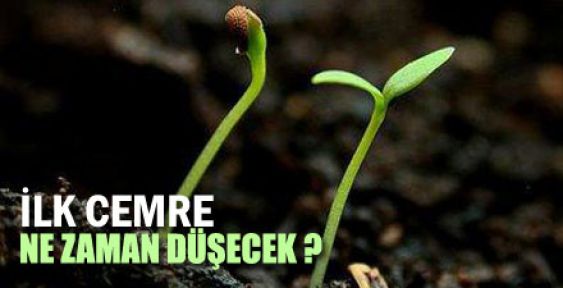 İlk cemre ne zaman düşecek?