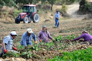 Nüfusun yüzde 8’i köyde yaşıyor