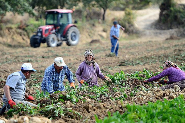 Nüfusun yüzde 8’i köyde yaşıyor
