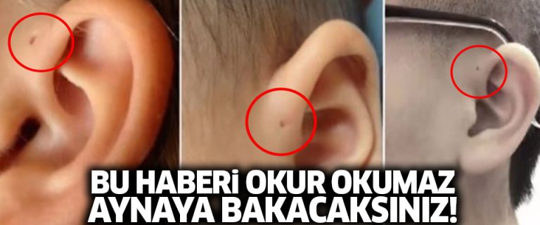 İnsan kulağının üzerinde yer alan delik nedir?