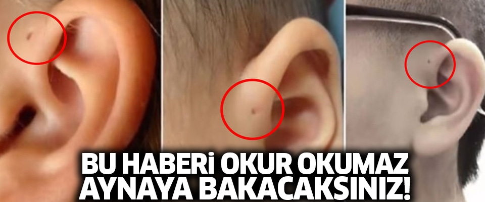 İnsan kulağının üzerinde yer alan delik nedir?