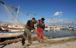 Tekirdağlı Balıkçılar Umduklarını Bulamadı