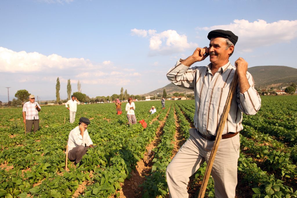 Çiftçiye müjde!