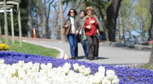 Müjde Geldi: Şubat Ortasında Bahar Havası Yaşayacağız