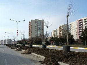 Beylikdüzü’nde Refüjler Yeşilleniyor