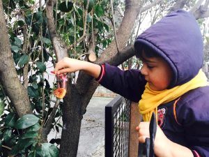 Avcılar’da Çocuklar ‘Sevgi Günü’nde Kuşlar İçin Kalpten Yemlik Yaptı