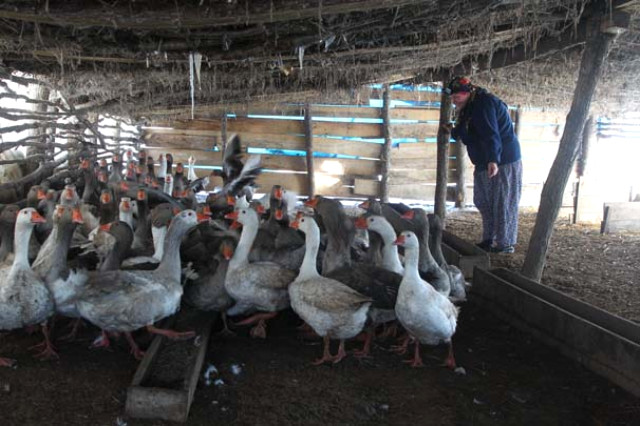 Gelin Geldiği Köyde Kendi İşinin Patronu Oldu