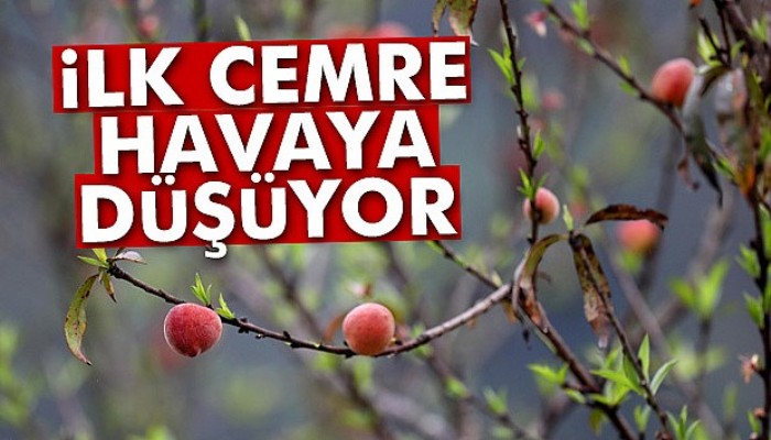 İlk Cemre Havaya Düşüyor