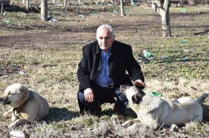 Köpeğine eziyet çektiren sürücüye 526 lira ceza