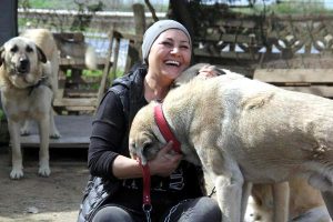Kurduğu Barınakta 400 Köpeğe Bakıyor