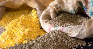 Dermenci: ‘Yem fiyatlarına acil müdahale gerekiyor’