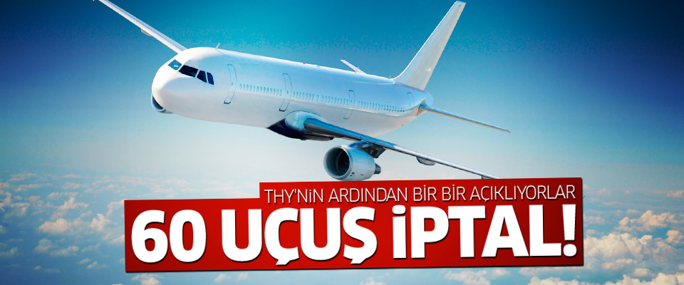 THY’nin ardından Pegasus da uçak seferlerini iptal etti