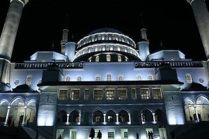 Üç aylarda neler yapılmalı ?