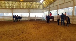 21 Mart Down Sendromu Farkındalık Günü’nde Çocuklar Ata Bindi