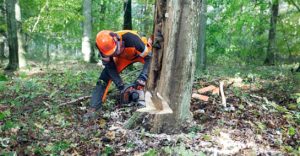 Hızarla Parmaklarını Kesti