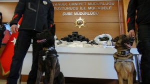 Uyuşturucuları Maya ve Fırtına Buldu!