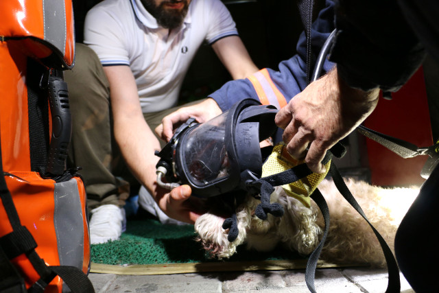Yangında Mahsur Kalan Köpeği İtfaiye Kurtardı