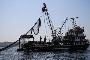 Denizlerde av sezonu sona erdi