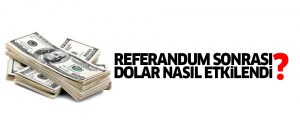 Referandum sonrası dolar nasıl etkilendi?