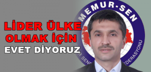 Yavuz Çaylak: ‘Lider ülke olmak için evet diyoruz’