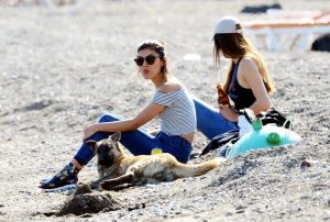 Oyunu Kullanan Sahile Koştu