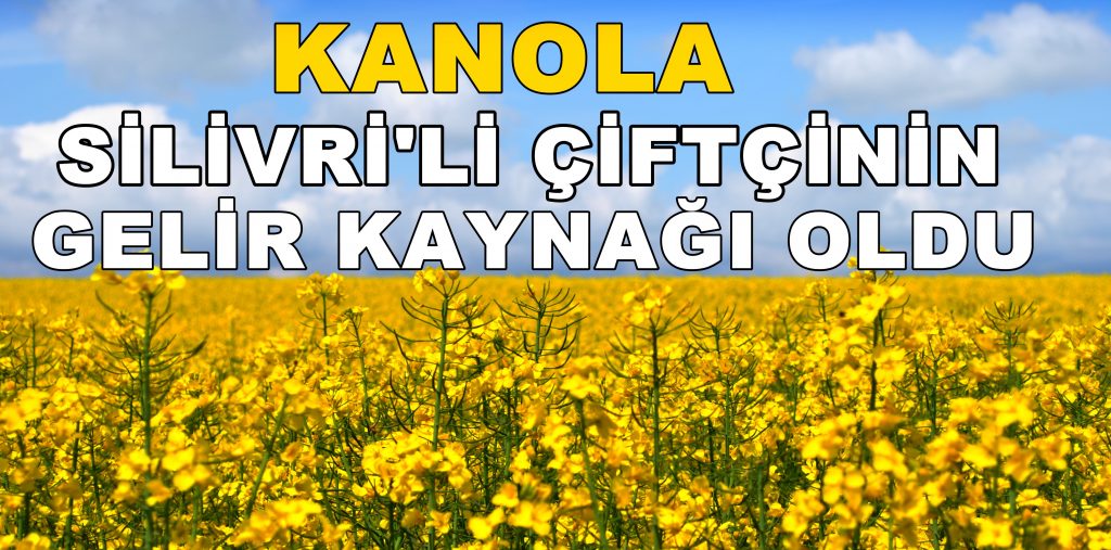 Kanola, Silivrili Çiftçinin Gelir Kaynağı Oldu