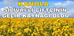 Kanola, Silivrili Çiftçinin Gelir Kaynağı Oldu