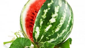 Çerkezköy’de Karpuzun Kilosu 3 ila 4 liradan satışa çıktı