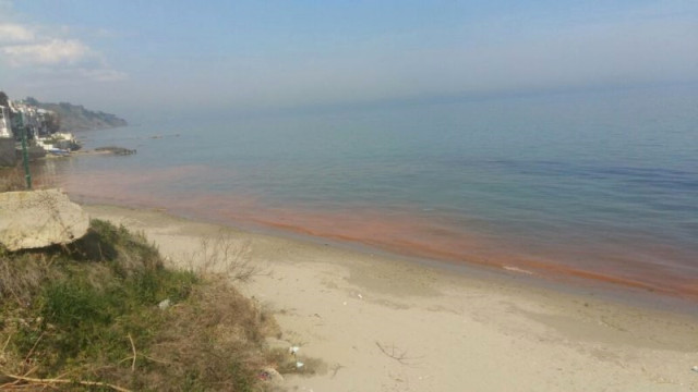 Marmara Denizi Turuncuya Büründü