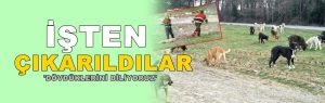 Köpeği Sürükleyen Belediye Çalışanları İşten Çıkarıldı