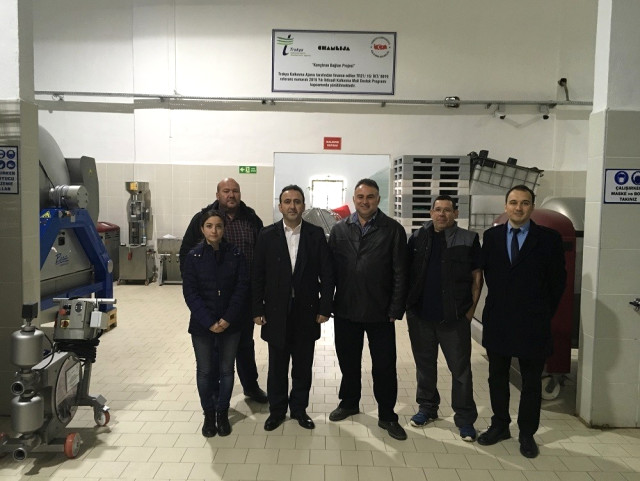 Trakya Bağcılığı İhracata Katkısını Arttırma Çalışmaları